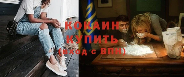 дживик Инсар