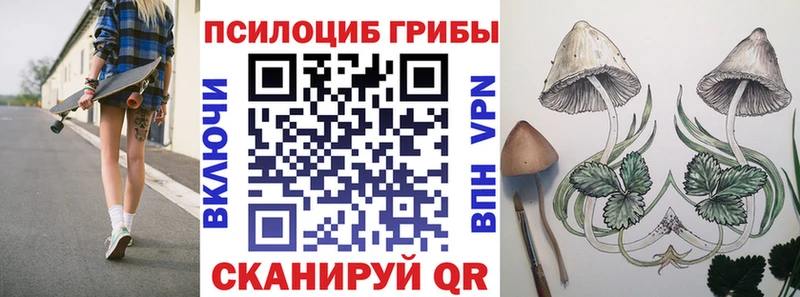 где найти   mega ONION  Псилоцибиновые грибы Cubensis  Тырныауз 